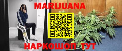 гашик Шелехов