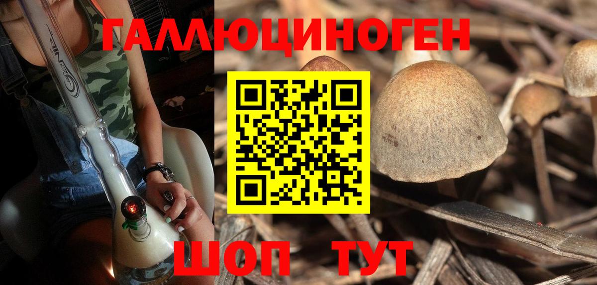 Галлюциногенные грибы мицелий Белорецк